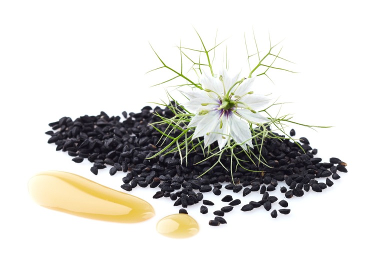 Blommande växt nigella sative svart kumminolja effekt av pressade frön
