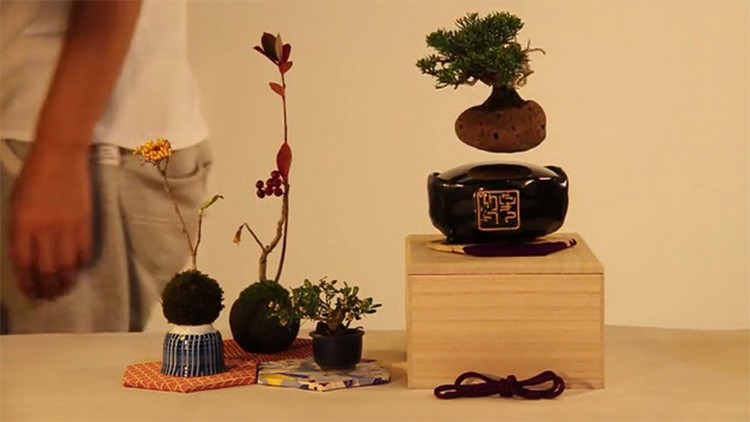 Flytande bonsai träd dekoration hem porslin bas magnet