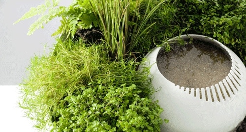 trädgård design växter flytande trädgård design som ett filter