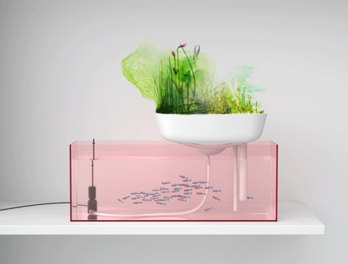 rosa akvarium flytande miniträdgård som filter