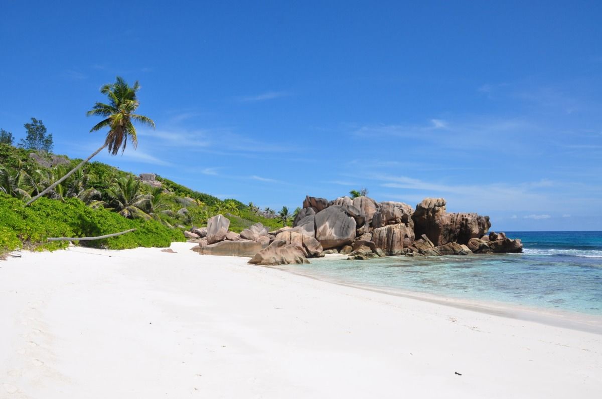 drömlik strand med vit sand och palmer på seychellernas semester bästa restid