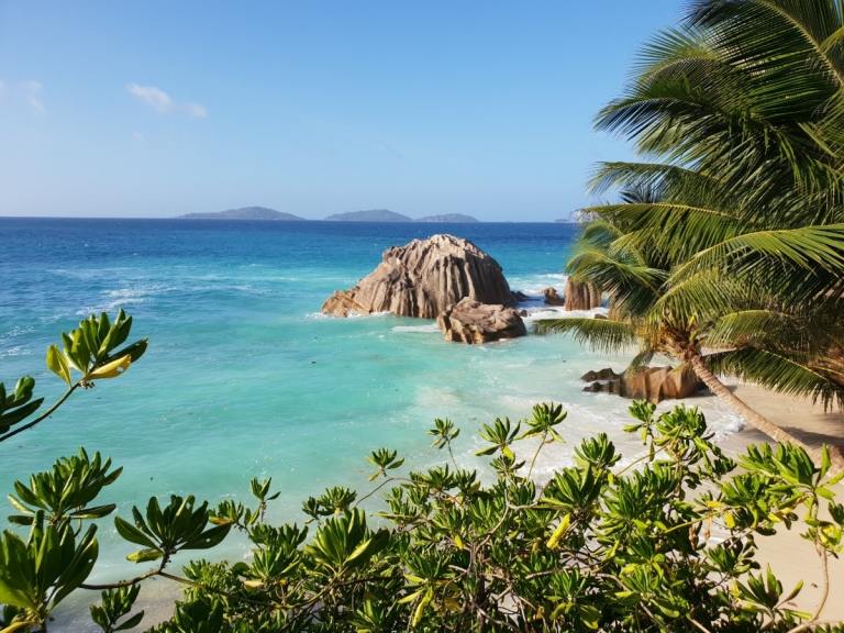 utsikt över havet med stora stenar och palmer på seychellernas semester på öar