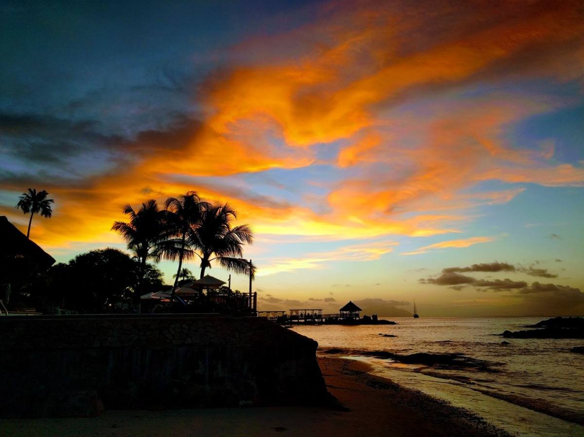 imponerande solnedgång med utsikt över havet och palmerna