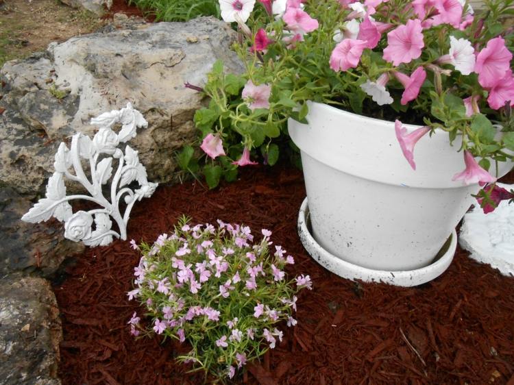 trädgård-shabby-chic-flower-pot-dekorera-inspiration-rosa-blomma-säng