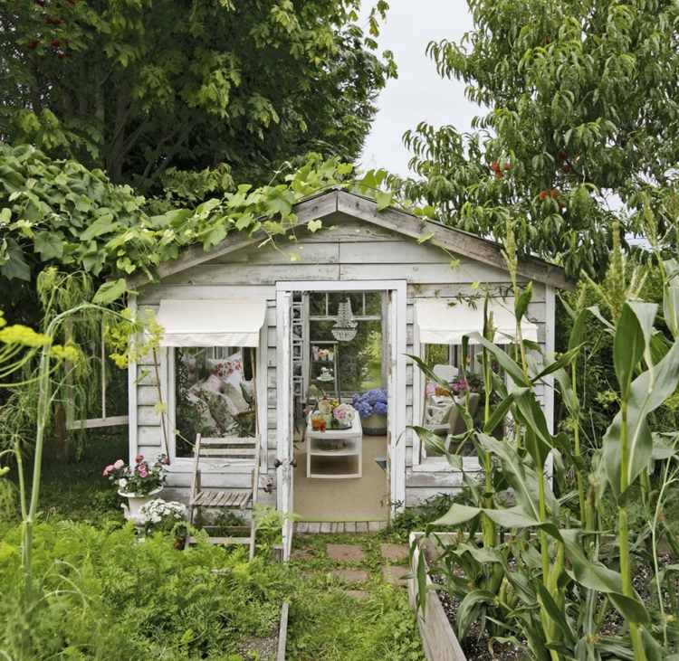 trädgård-shabby-chic-shed-idé-vinterträdgård-vintage-accenter-fönster