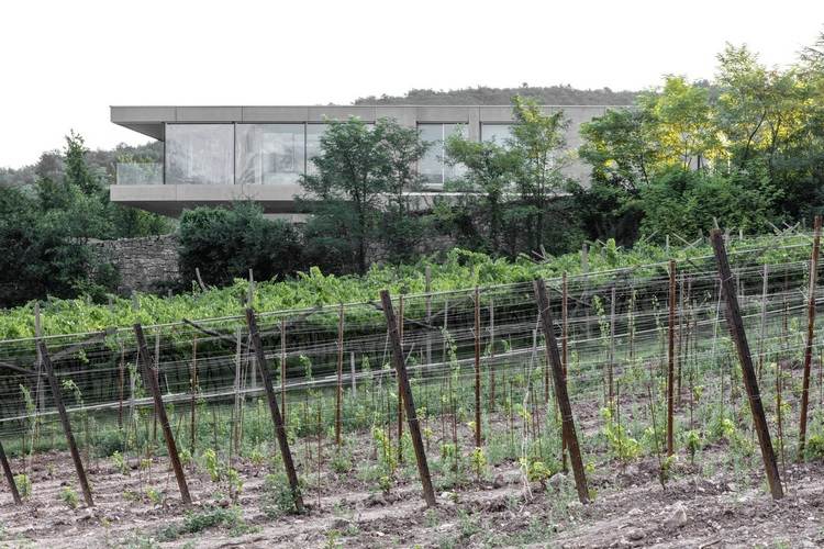 exponerat betonghus casa mf stora glasfönster modern minimalistisk design vingård