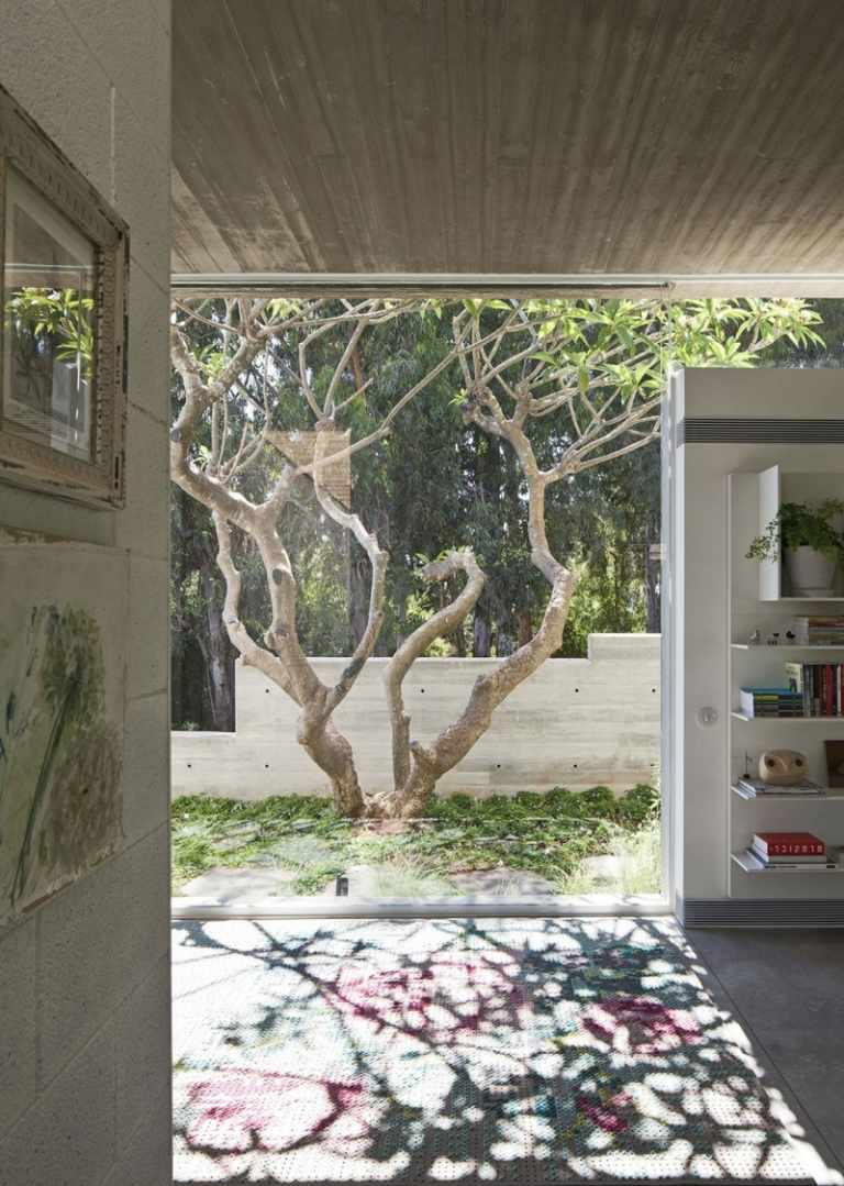 Exponerad betong inuti -eucalyptus-träd-matta-mönster-sol-ljus-skugga