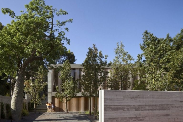 exponerad-betong-interiör-eukalyptusträd-hus-barn-lek-landskap-israel