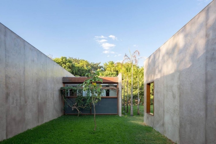 bakgård-gräsmatta-träd-betong-väggar
