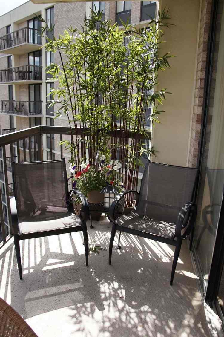 Sekretess-balkong-bambu-växter-svarta-stolar