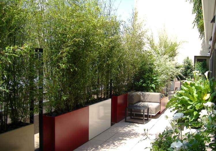 Sekretessskärm-balkong-bambu-växter-planter-stora-klara-färger-sittplatser