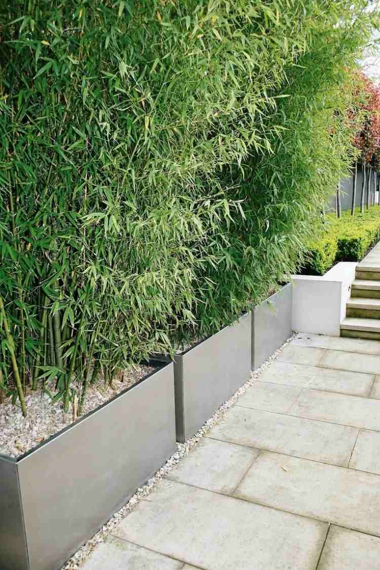 Sekretessskärm-balkong-bambu-växter-planter-träd-stora-dekorativa-betongplattor