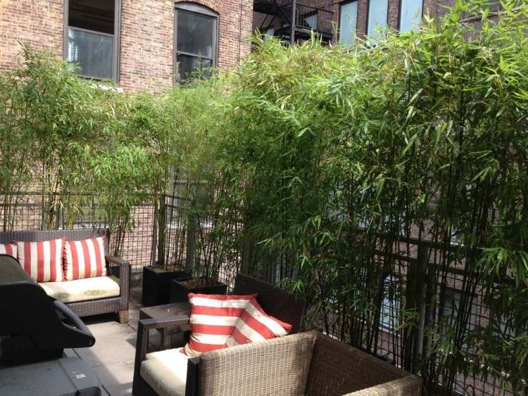 Sekretess skärm-balkong-bambu växter-stad lägenhet-trädgårdsmöbler-plast rotting-sittande