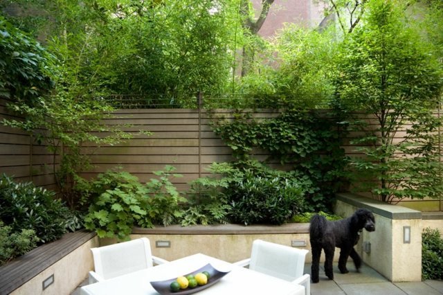Trä staket bänk husdjur hund i trädgården sekretess skärm