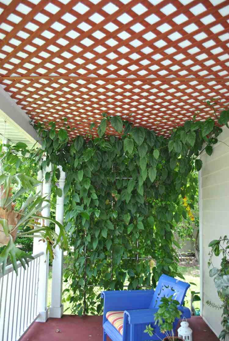 Sekretessskärm för trädgårdsklättringsväxter-veranda-stzhl-trä-blå