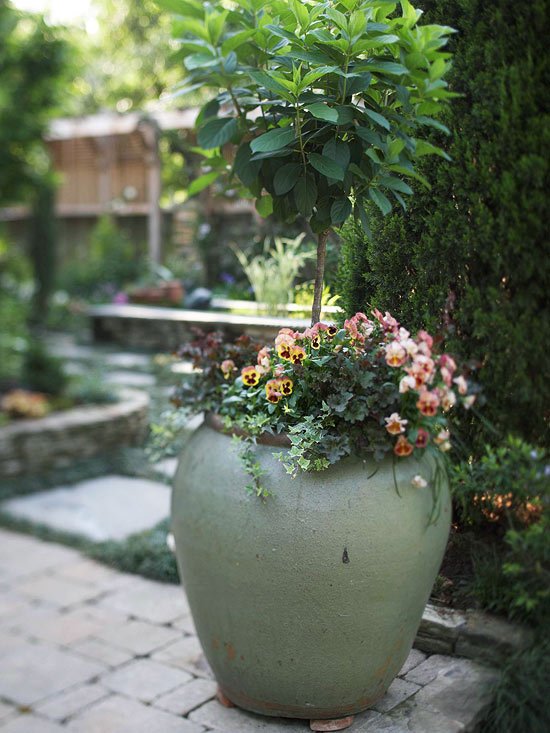 Keramiska blomkrukor sekretess skärm trädgård