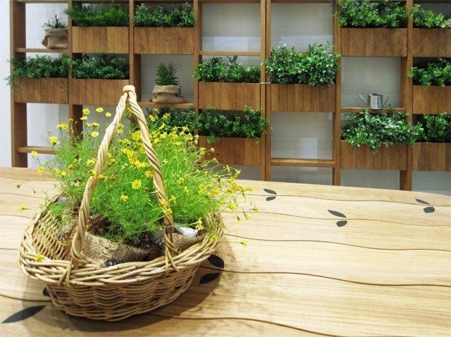 Planter Sekretessskärm Succulenter Deesawat