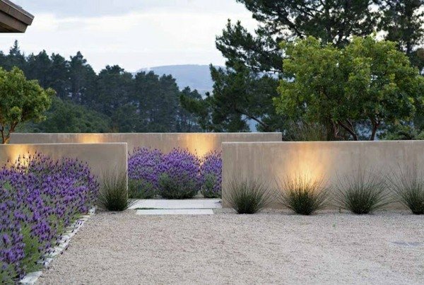 Trädgård vägg design idéer belysning