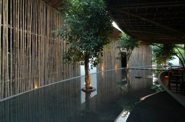 Bambu sekretess skärm pool träd design