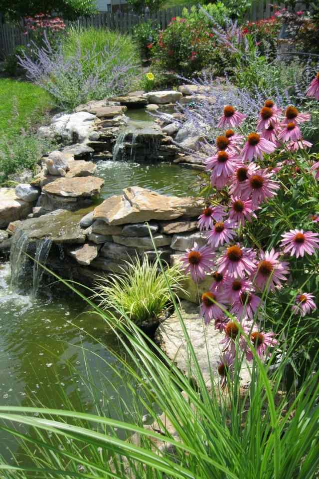 Vatten för trädgårdsdammens vattenfall Vattenväxter fiskodling