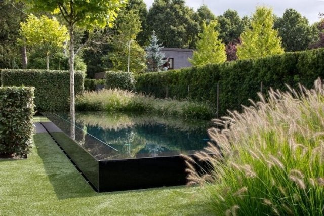 minimalistisk trädgårdshäck vattenbassäng rektangulär design