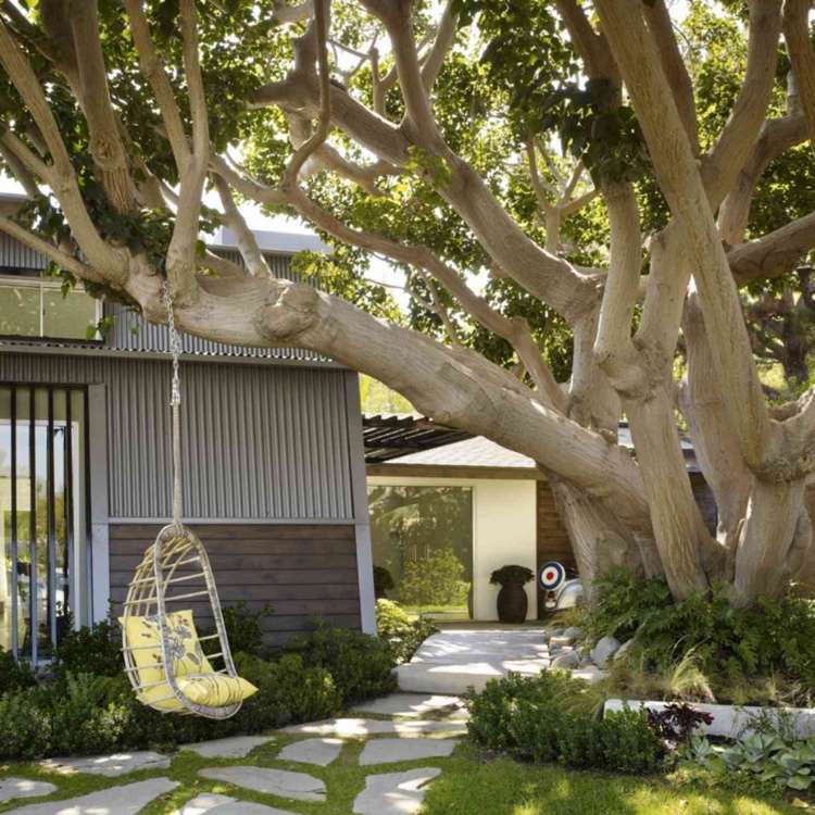 högt träd i trädgården som designidéer