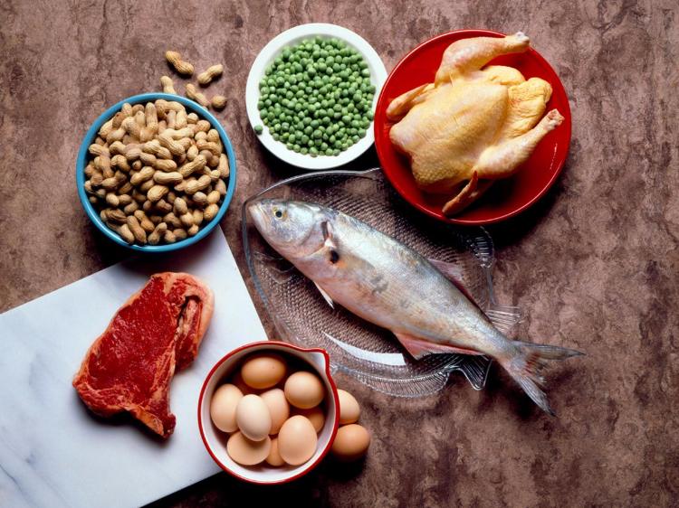 sixpack-näringsplan-proteinrik mat-fisk-ägg-nötter-kött