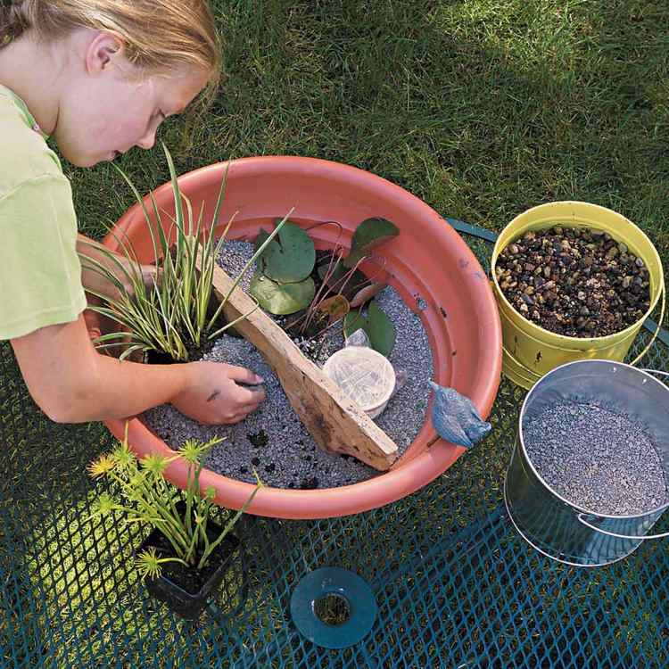 Plantera minidammen i två steg med olika vattendjup