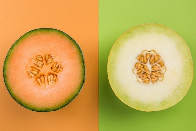 Sockermelonsorter cantaloupemelon och honungsmelon i jämförelse