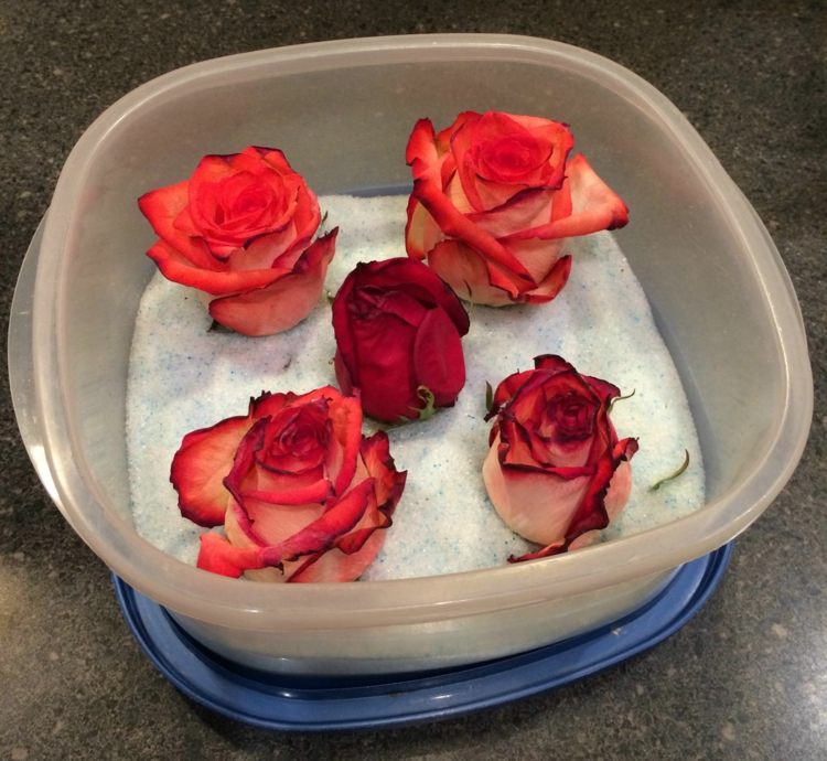Brudbukett torkande rosor tvättpulverbehållare lock