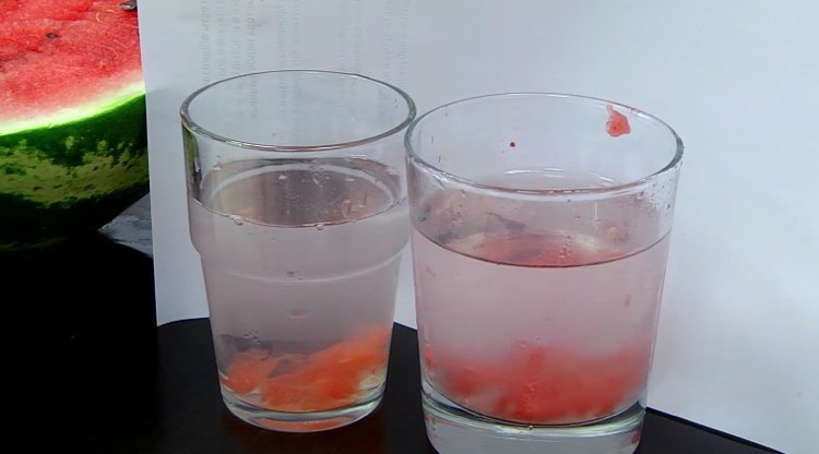 Lägg vattenmelonbitar i ett glas vatten och testa för nitrater