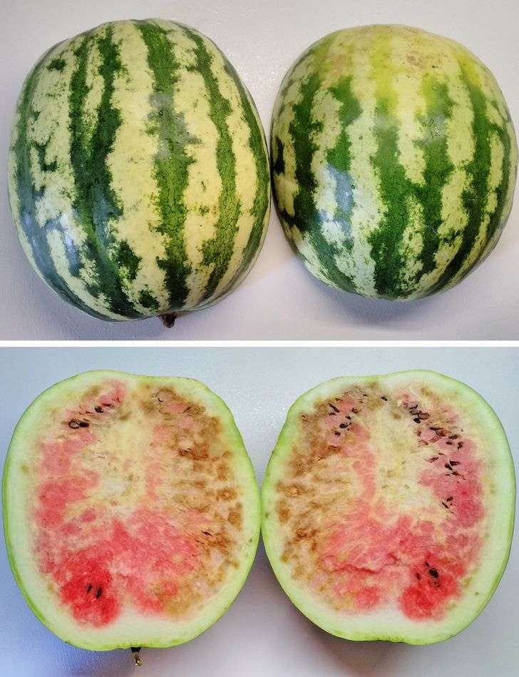 När är en vattenmelon dålig?