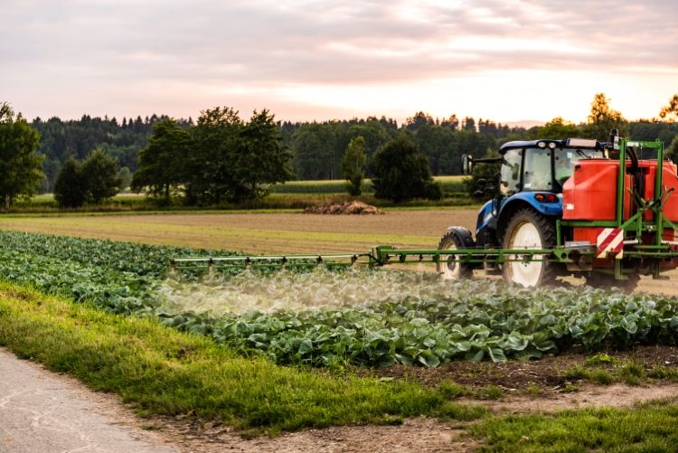 Traktor som sprutar bekämpningsmedel på ett kålfält