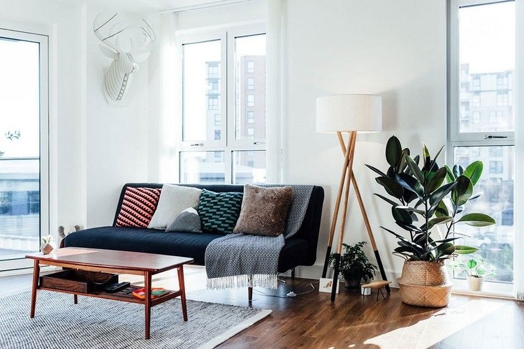 Ställ upp soffan framför fönstret vardagsrum snygg soffa laminatgolv soffbord soffdynor färgglada retro gummiträd