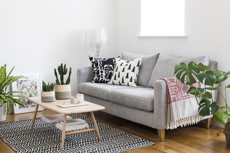 färger harmoniserar retrostil grå soffa kaktusar svart vitt tak trägolv