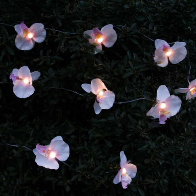 Orchid Solar fairy lights - varmt vitt ljus i trädgårdsidéerna