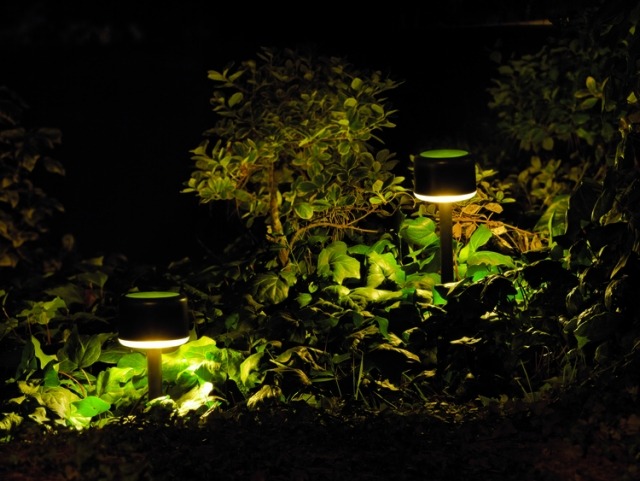 utforma sollampa idéer för ljus i trädgården energibesparande