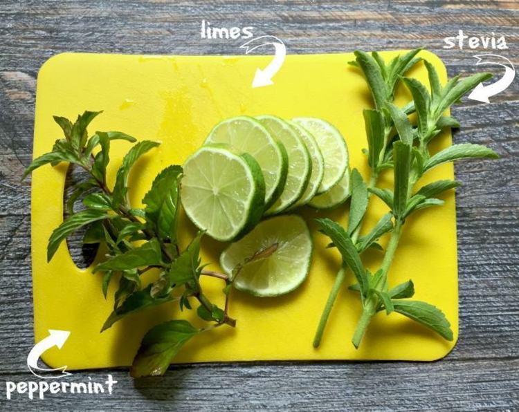 ingredienser mojito cocktail sommar färsk mynta rom