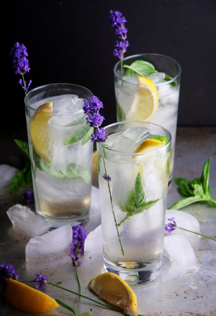 gin fizz lavendel mint citron lång drink glas garnera sommarcocktails