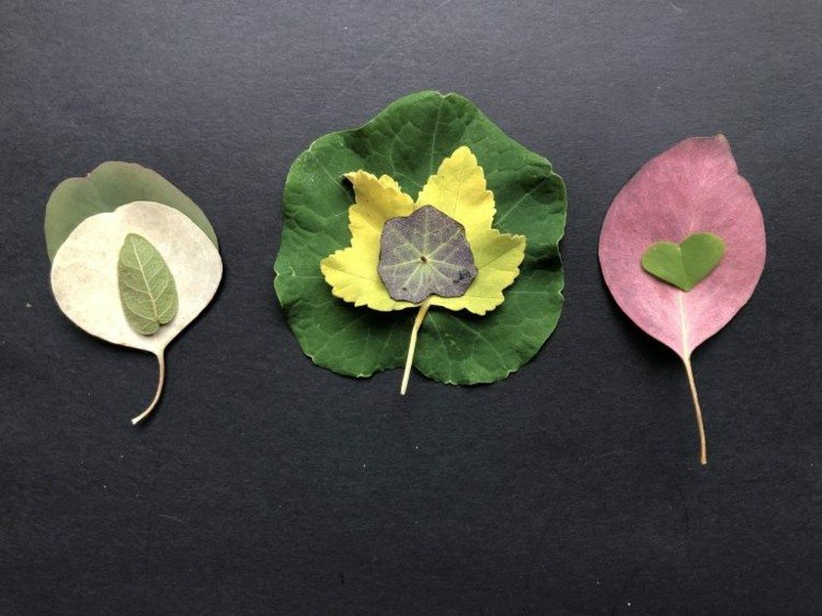 Gör vackra collage av löv med barn