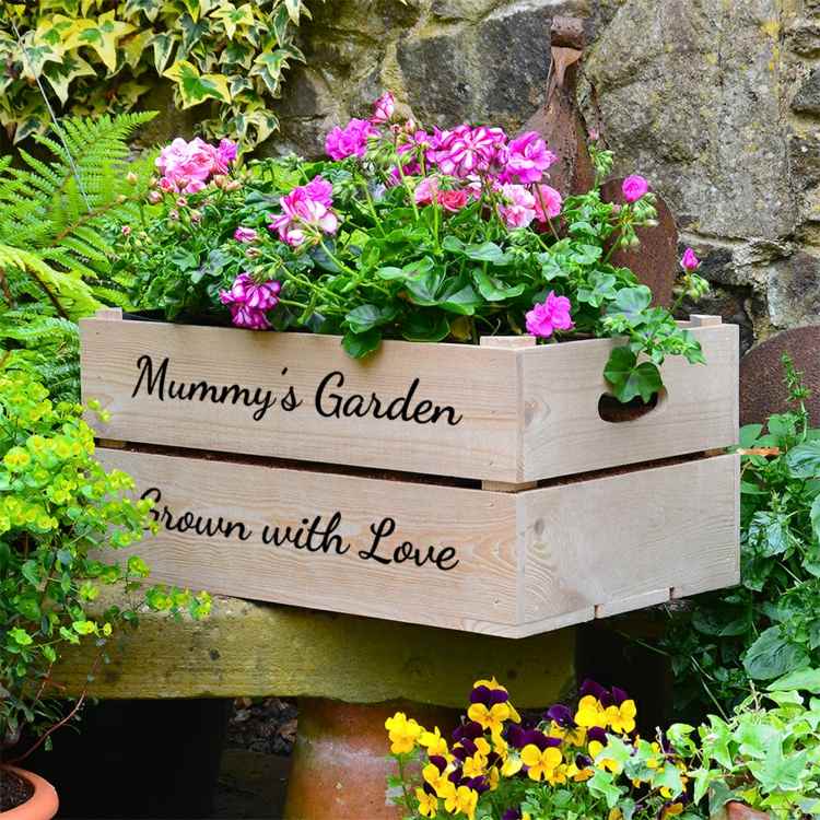 Plantera blommor i en vinlåda och dekorera din trädgård eller uteplats