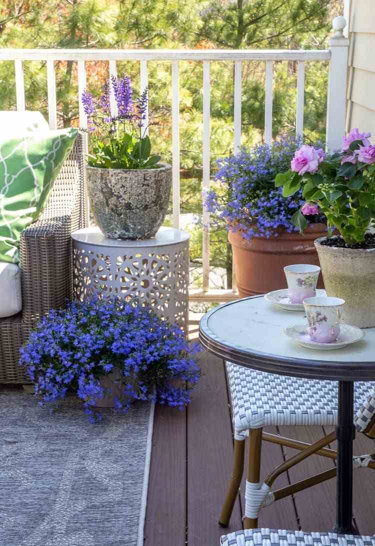 Sommardekoration för ute på terrassen blommande växter i lila