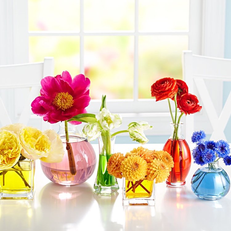 Modern sommardekoration med blommor i vaser med färgat vatten