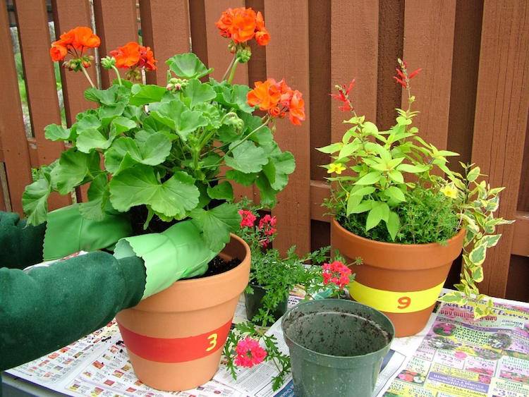 solur-trädgård-bygg-instruktioner-blomkrukor-växt-siffror