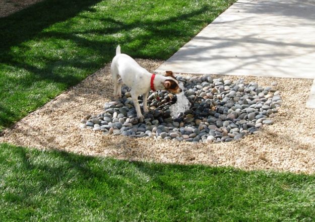 Trädgård fontän hund kul-garanti i trädgården idéer