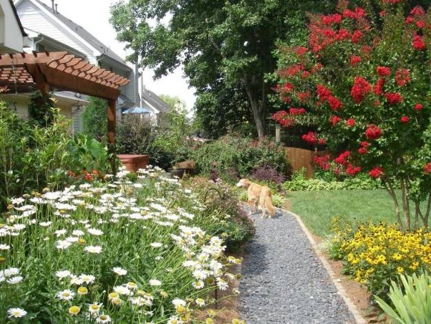 Trädgårdsplantering hund-husdjursäker vänlig trädgårdsstig
