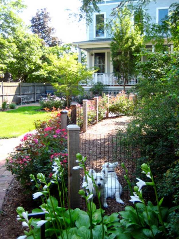 Skapa ett staket som planterar hundträdgårdsidéer