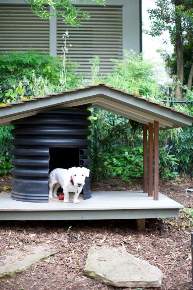 Hundhus design-trädgård design-husdjur säker