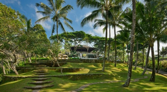 Lyxiga Bali ö trädgårdspalmer