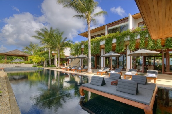 Pool Luxury VIlla Tropical Wall Palm Tree